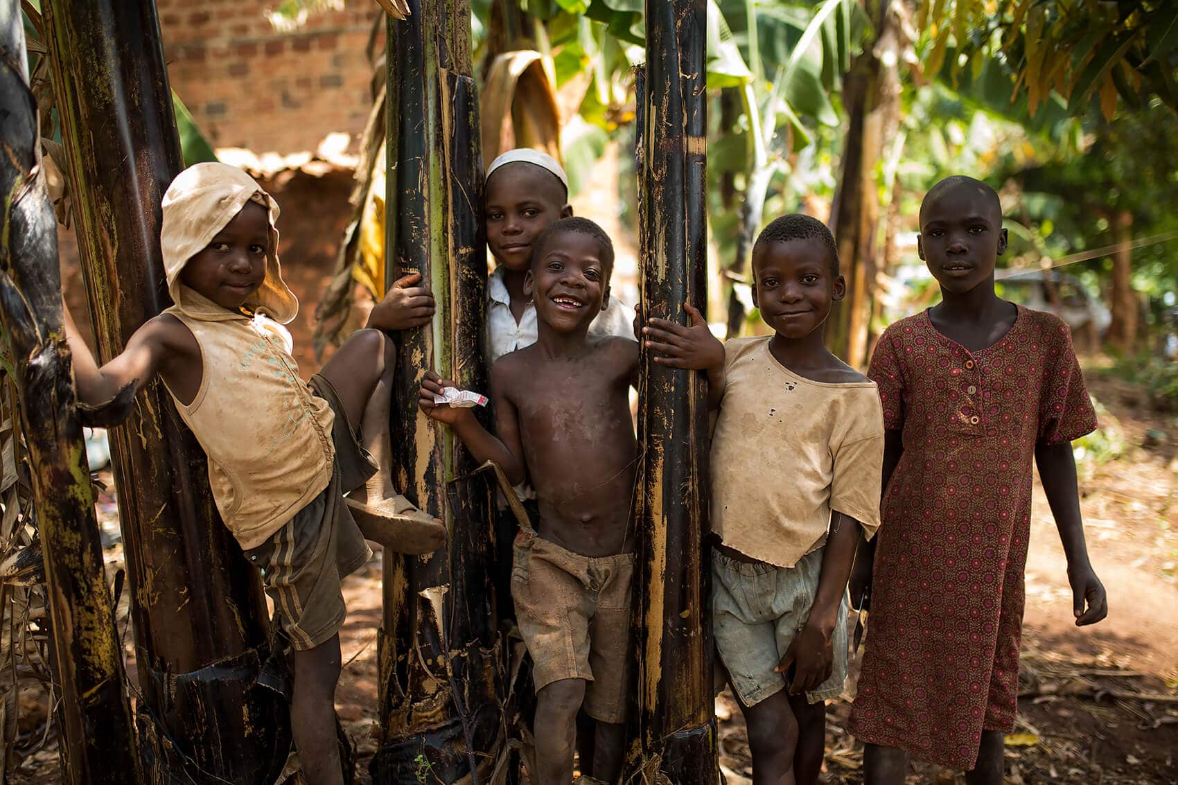 Projectorphans.0718 Copy