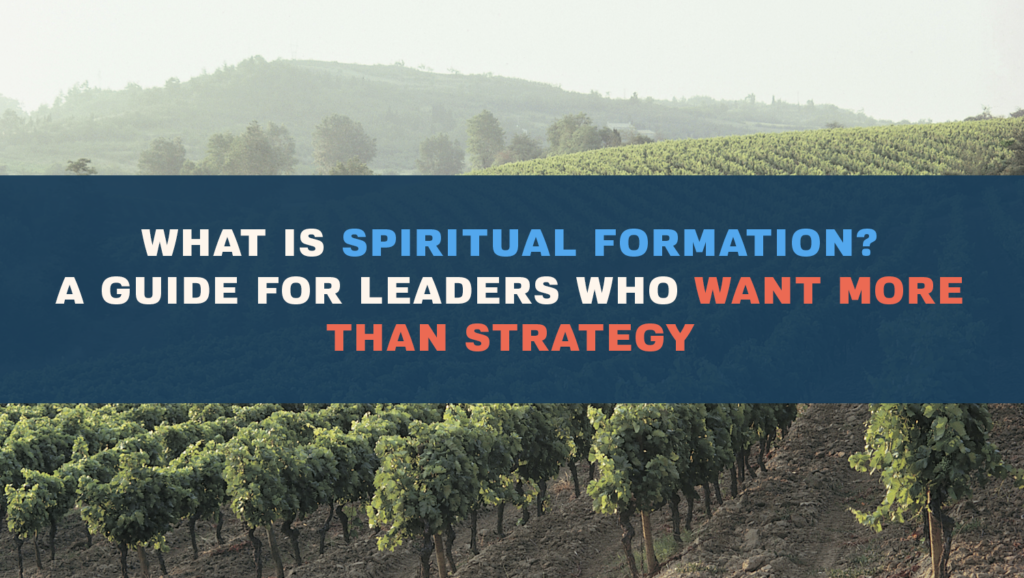 what is spiritual formation vineyard rows in morning fog